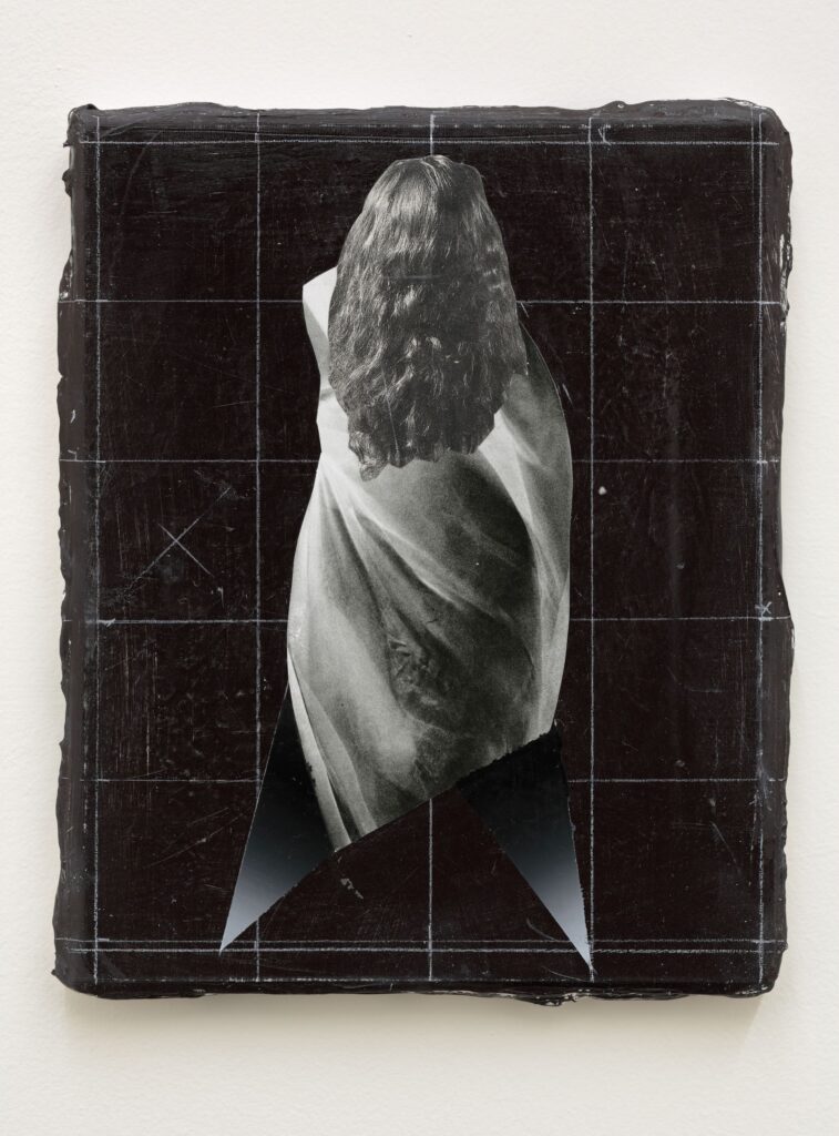 Untitled (hair), oil, acrylic and paper on canvas, 30x24cm, 2014