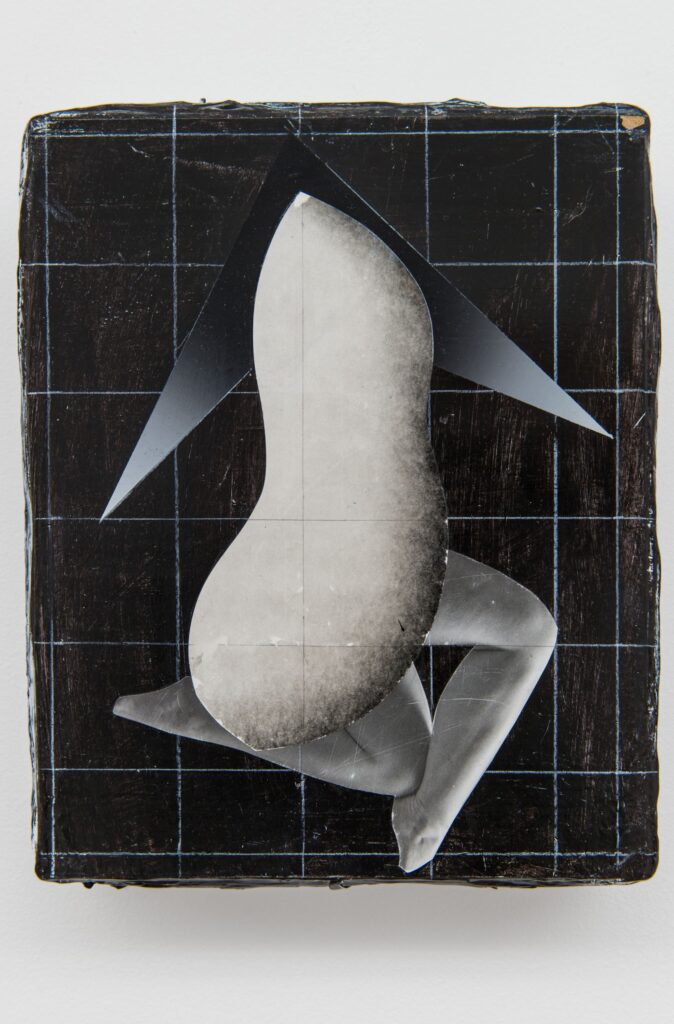 Untitled, oil, acrylic and paper on canvas, 2014