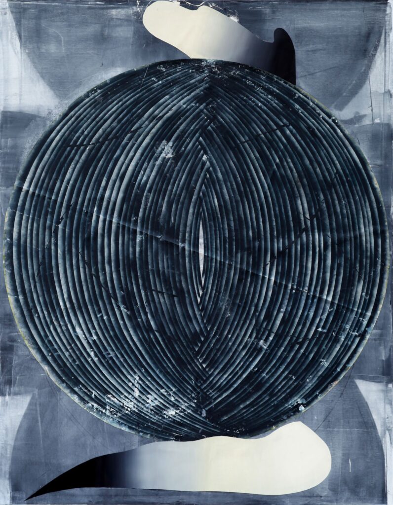 Parable, 2012, oil and paper on canvas, 230x180cm