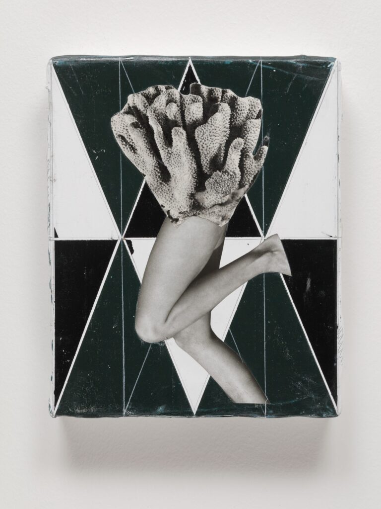 Untitled (The Cabinet), acrylic, wax pastel and paper on canvas, 30x24cm, 2019